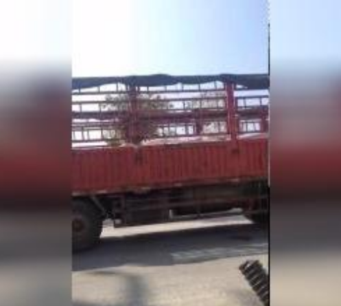 发货视频（pín）-2